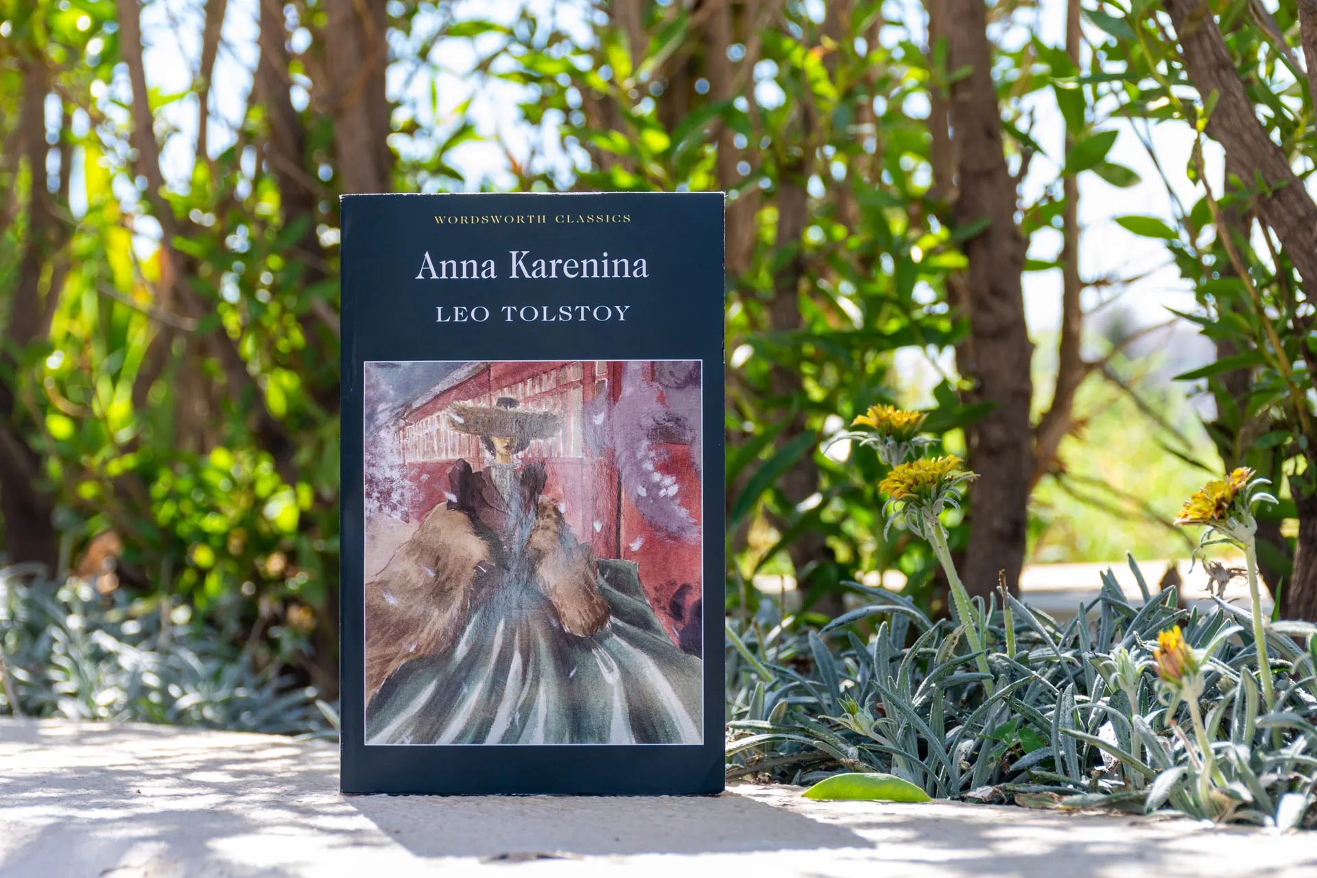 Souvenirs Dedicated to Leo Tolstoy