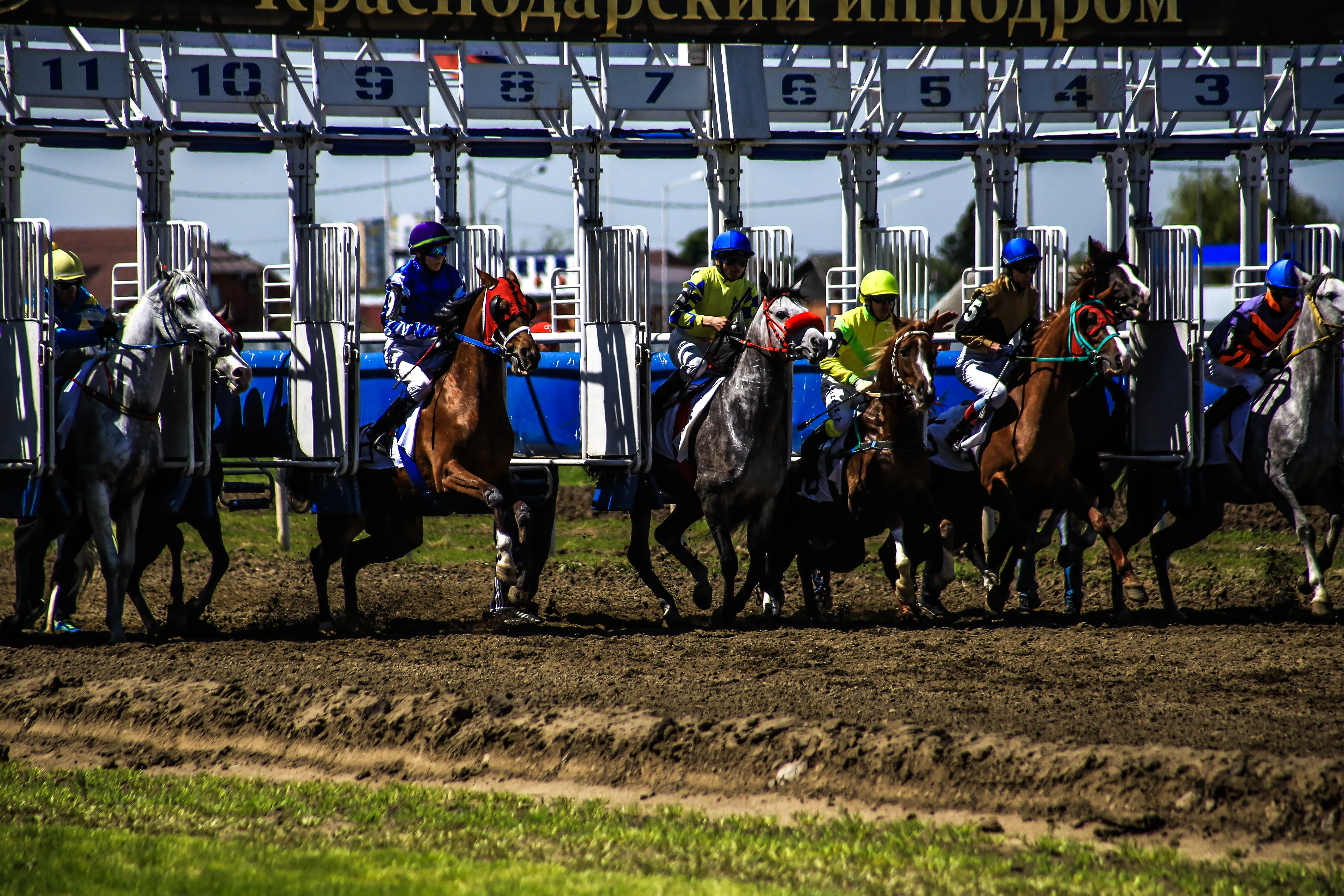 Krasnodar Hippodrome