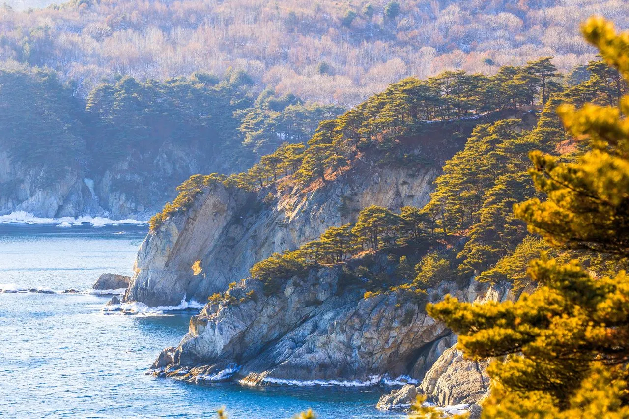 Far Eastern Marine Reserve