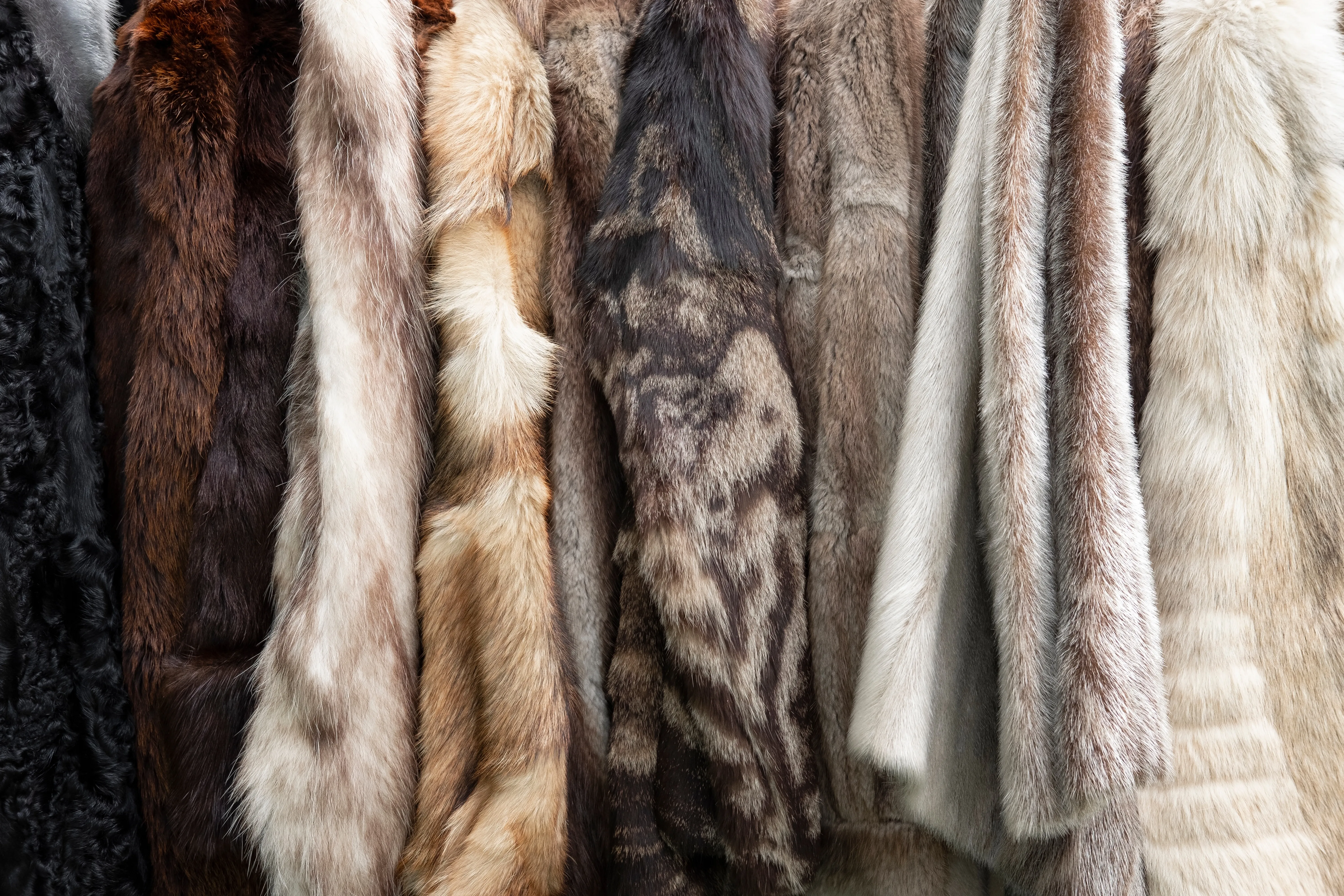 Fur