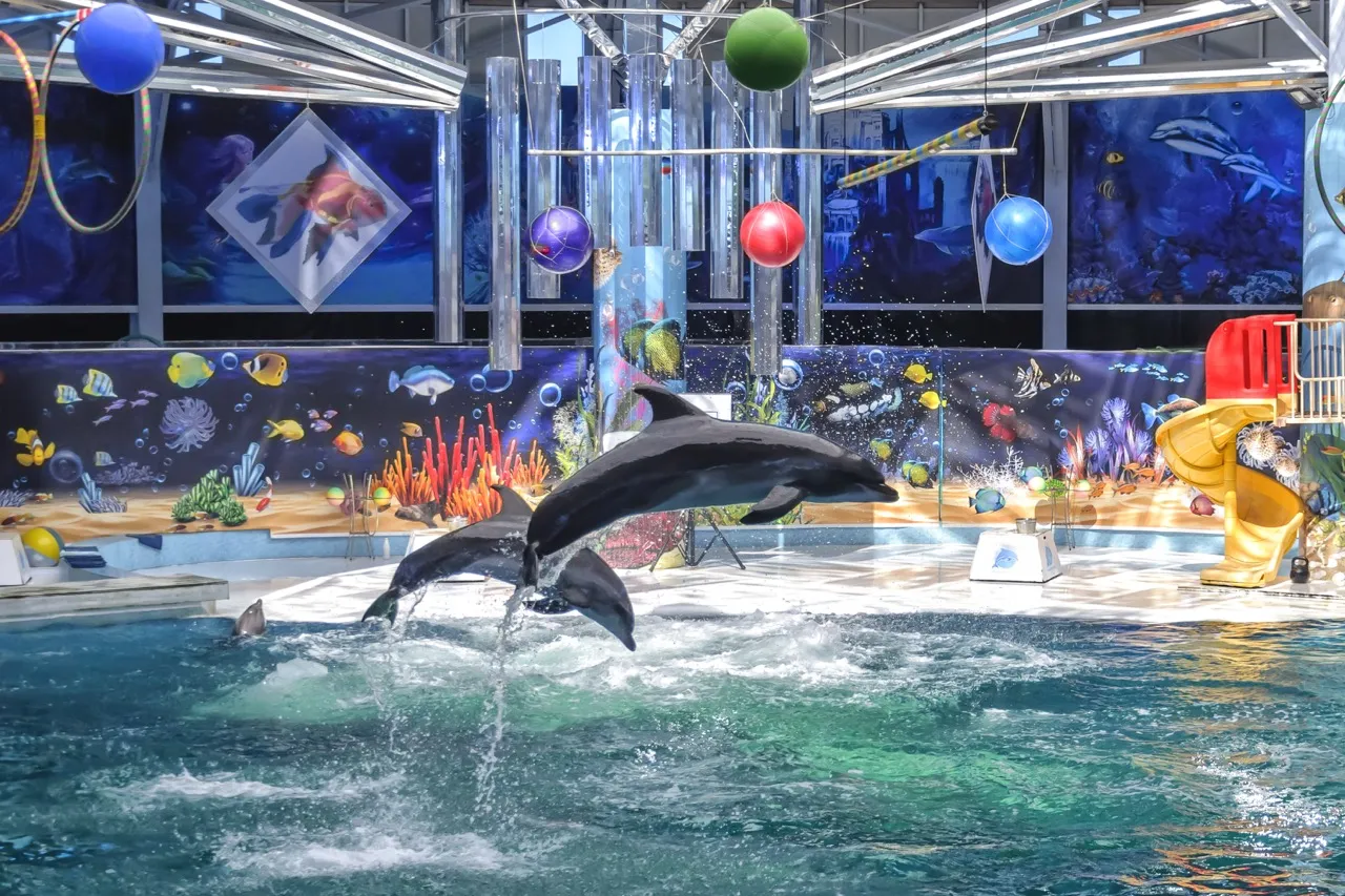 Yevpatoria Dolphinarium