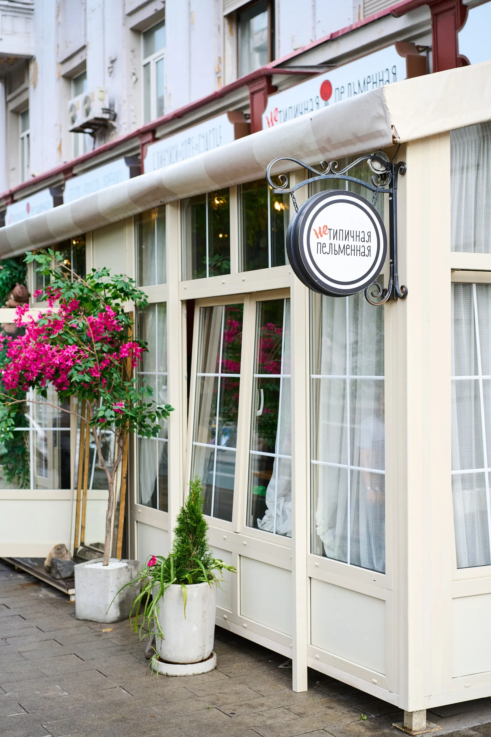 "Atypical Dumplings"