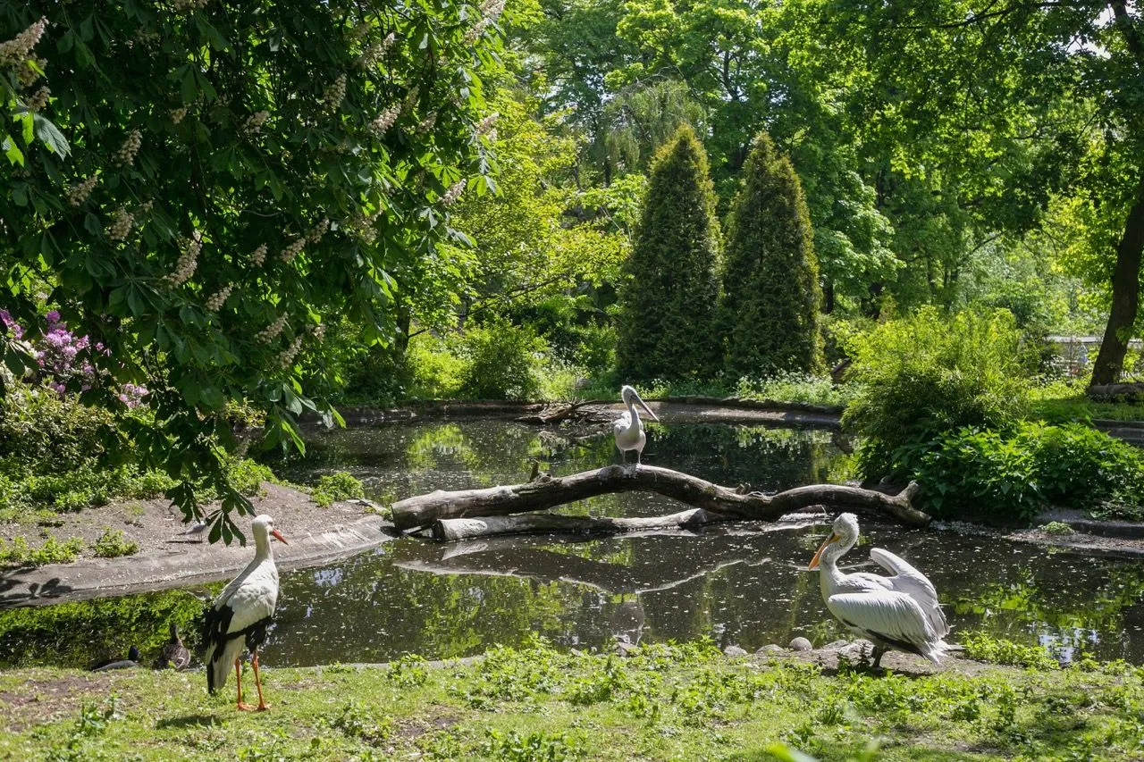 Kaliningrad Zoo and Dendrological Park