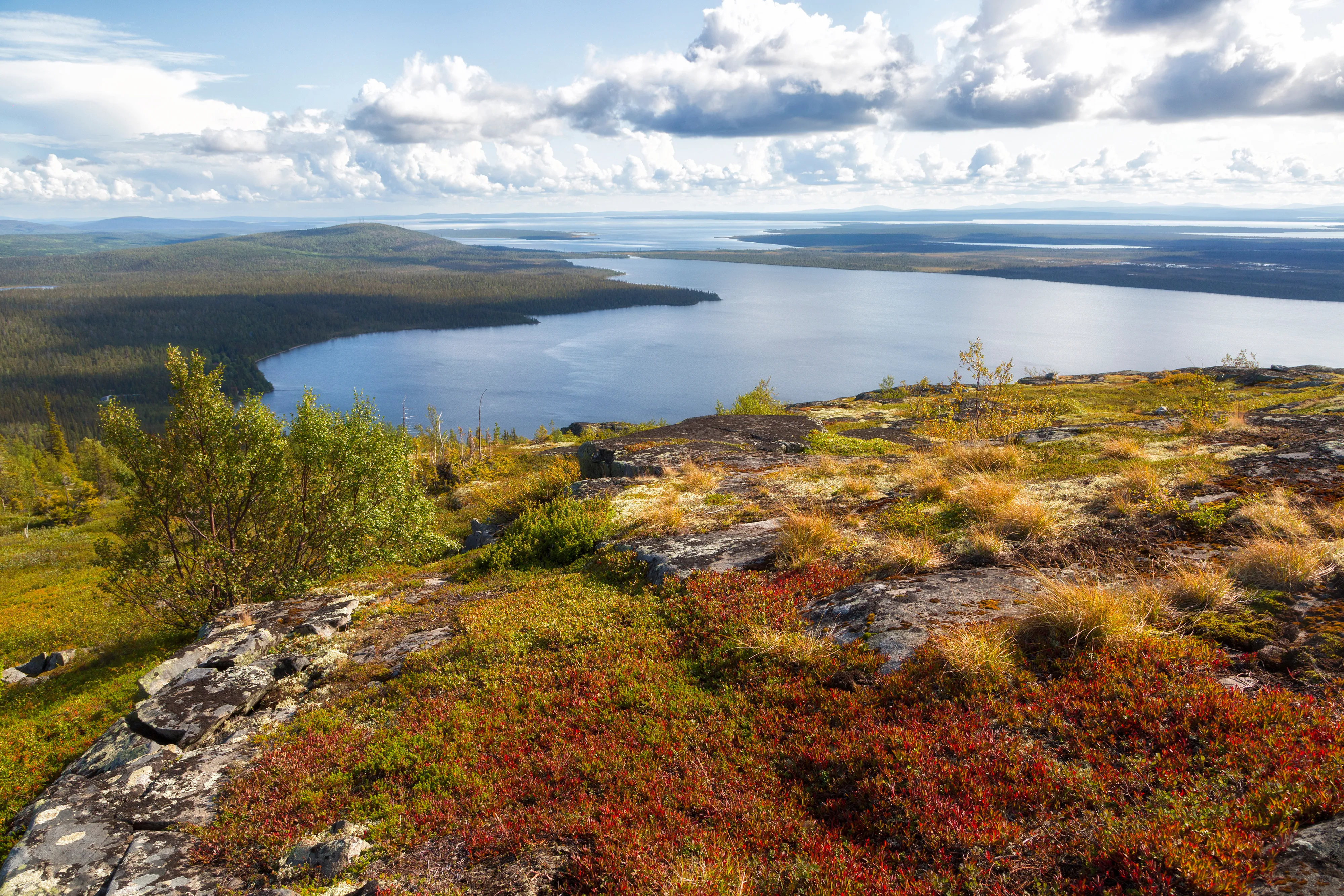 Lapland Nature Reserve